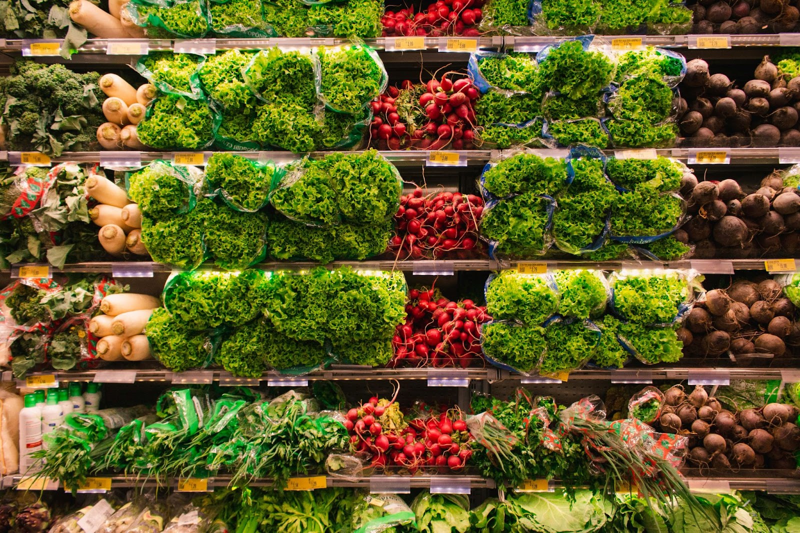 A Deep Dive into Rising Food Prices and How to Save